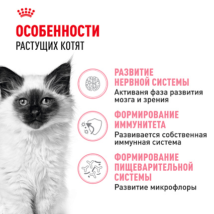 Сухой корм Royal Canin Kitten для котят до 12 месяцев 1.2 кг